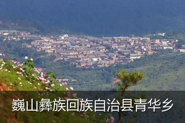 巍山彝族回族自治县青华乡